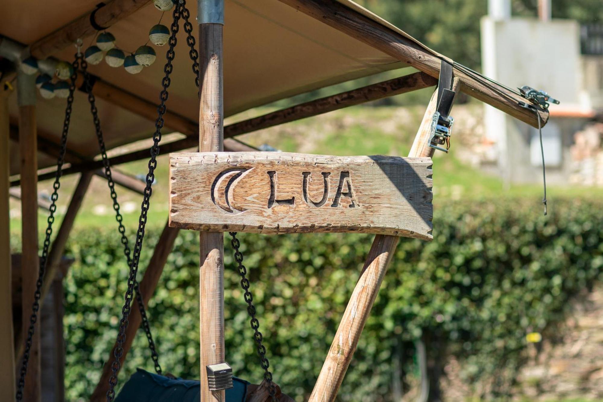 Quinta Do Rio Alva And Glamping Holiday home *
