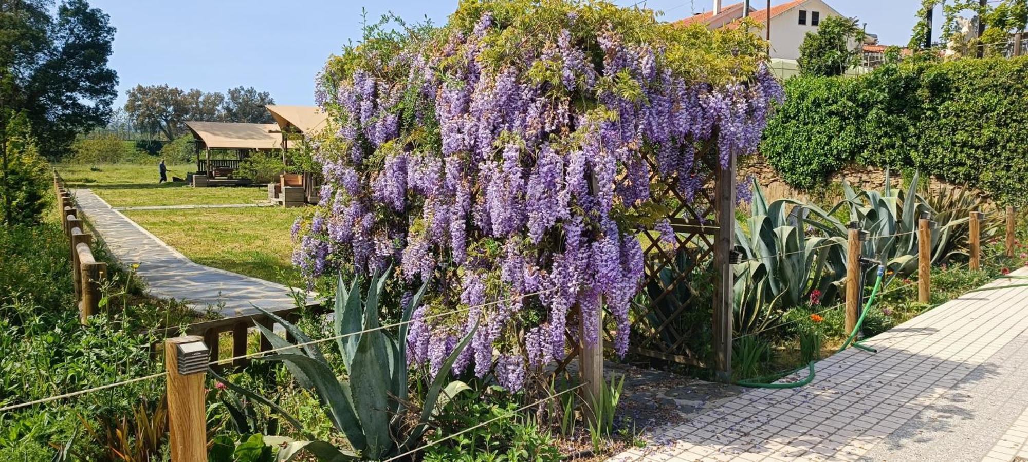 Holiday home Quinta Do Rio Alva And Glamping Mouronho