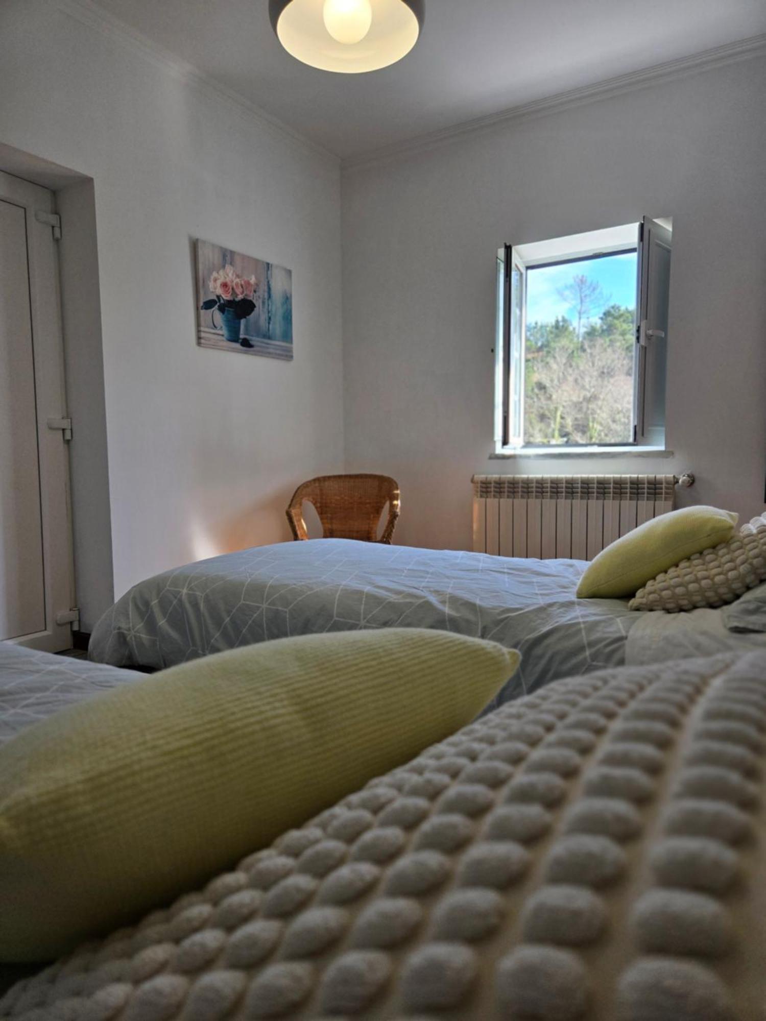 Quinta Do Rio Alva And Glamping *